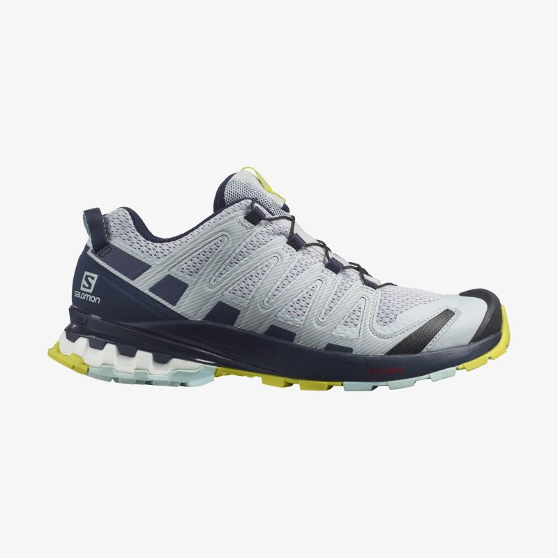 Zapatillas Trail Running Salomon XA PRO 3D v8 Mujer Gris (ES-ICSH)